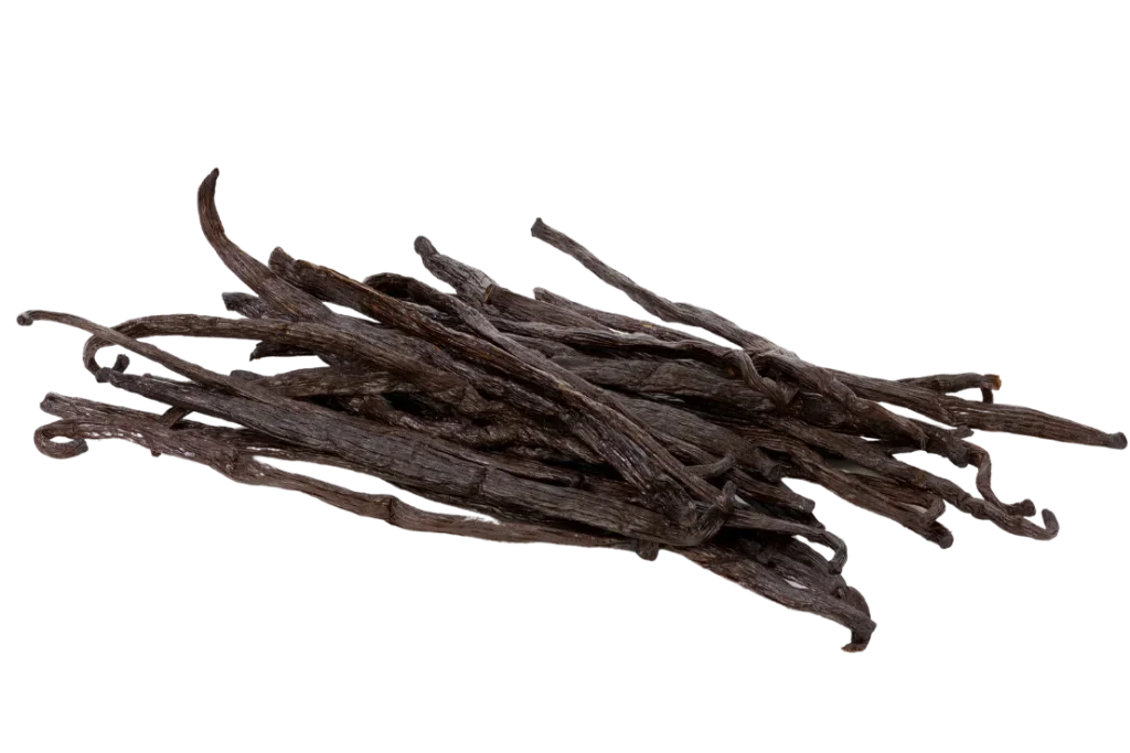 Vanilla Gourmet